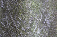 Downhead Park fibreglass roof work